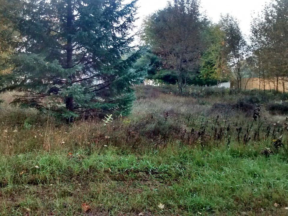 South view of lot 