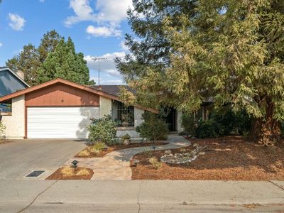 335 Encina Ave, Davis, CA, 95616