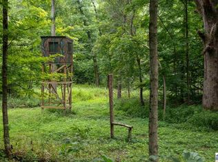 Co Road 600 N, Shelburn, IN 47879