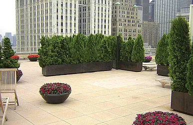 Rented by The World Wide Group