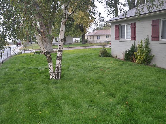 Front yard