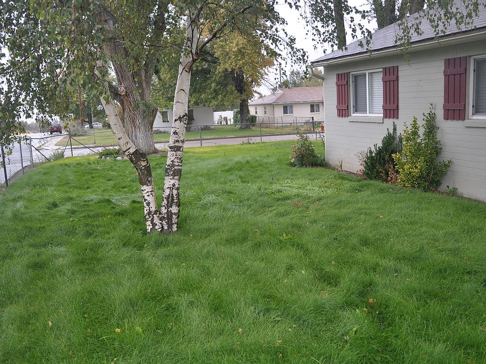 Front yard