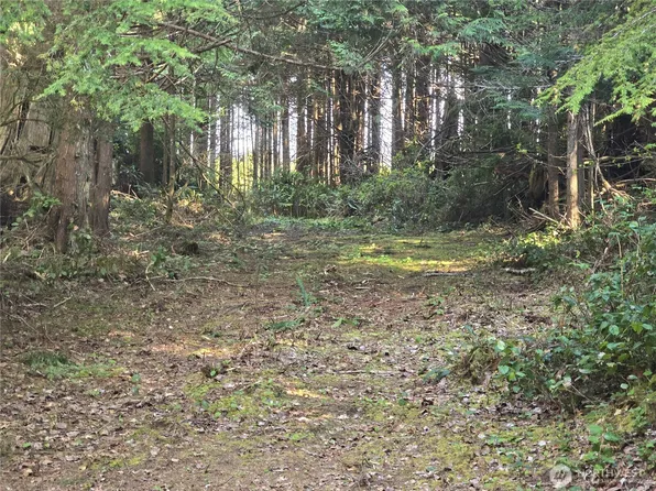 1012 Sunset Street, Moclips, WA 98562