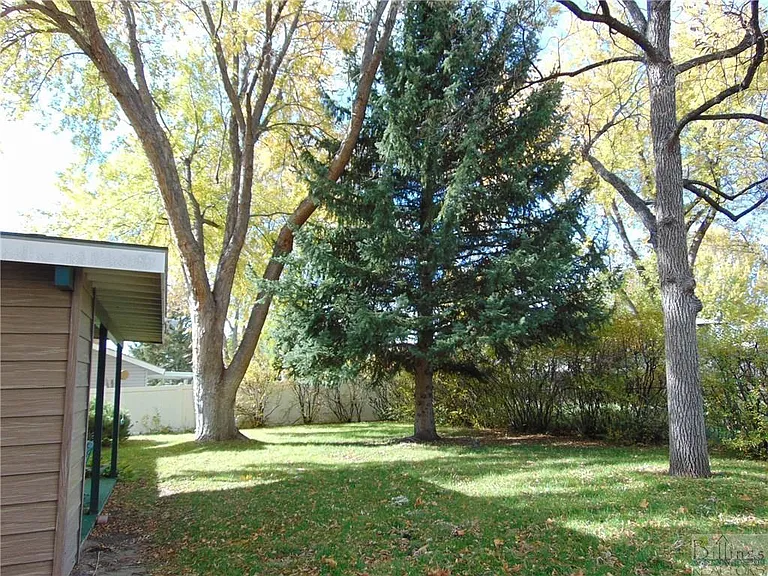 Fenced Yard