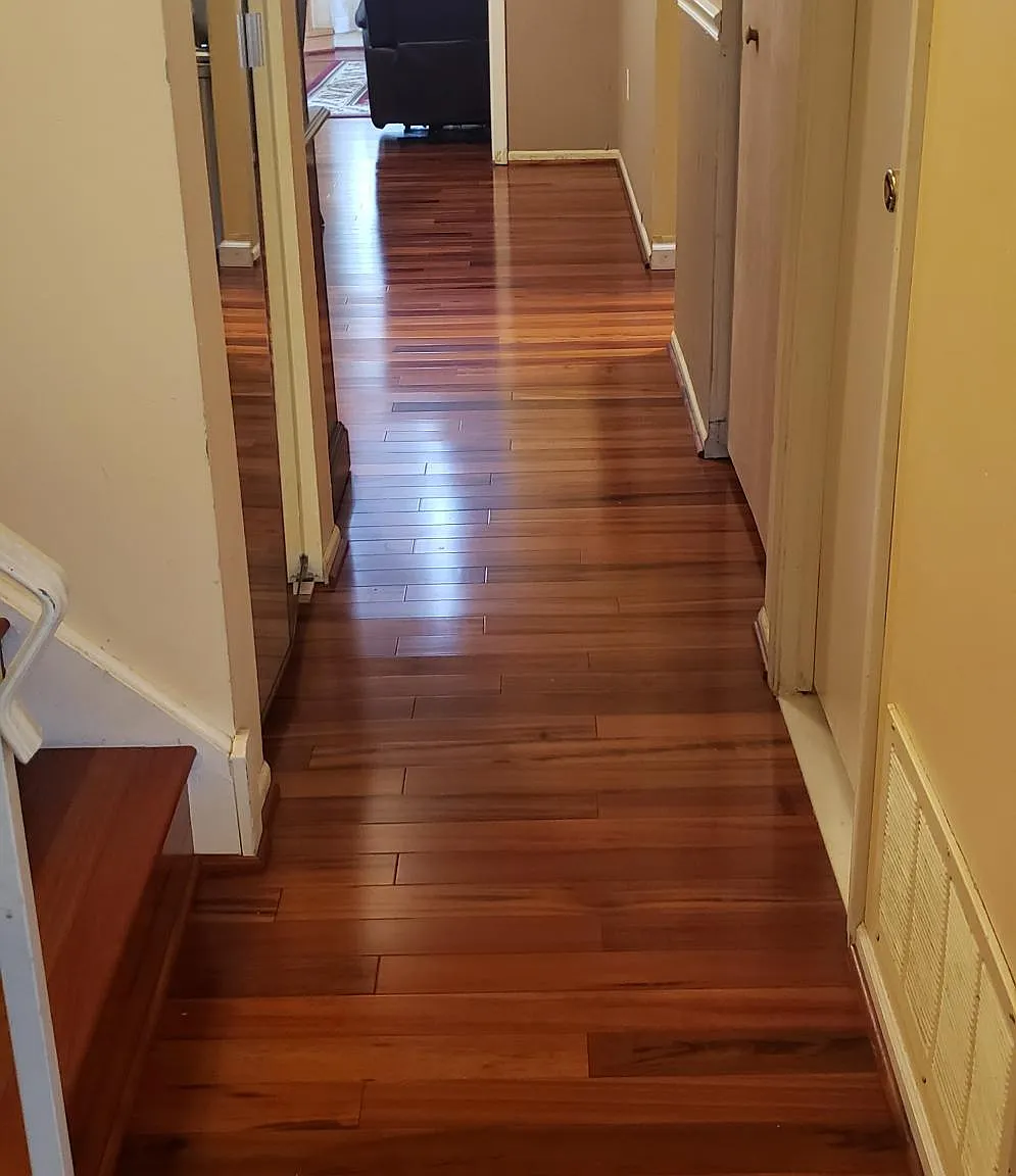 10126 Alexandra Ln — Photo 3