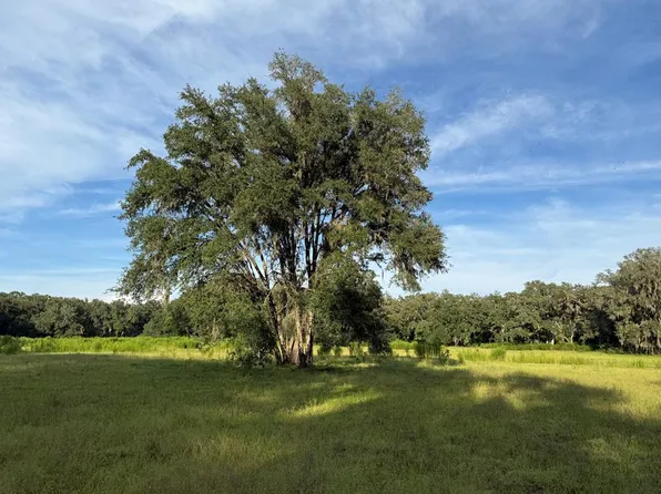 TBD NE 489th St, Old Town, FL 32680