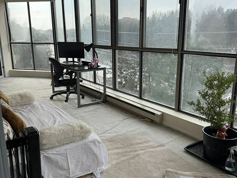 265 Westcourt Pl #507 — Photo 13
