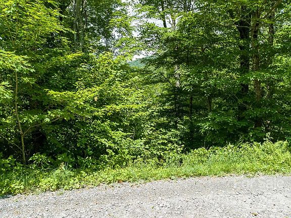 5th image of 441 El Miner Dr #441
