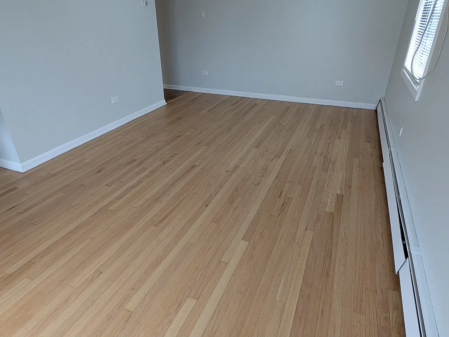 1 bed, 700 sqft, $1,365 — Photo 2