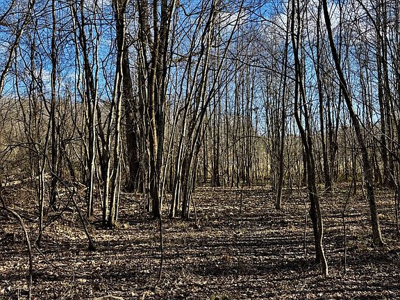 2nd image of 0 Wallace Rd