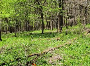 5 Old Dry Branch Rd, Valley Head, WV 26294