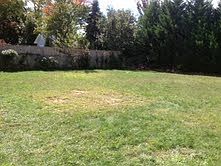 Large fenced in back yard