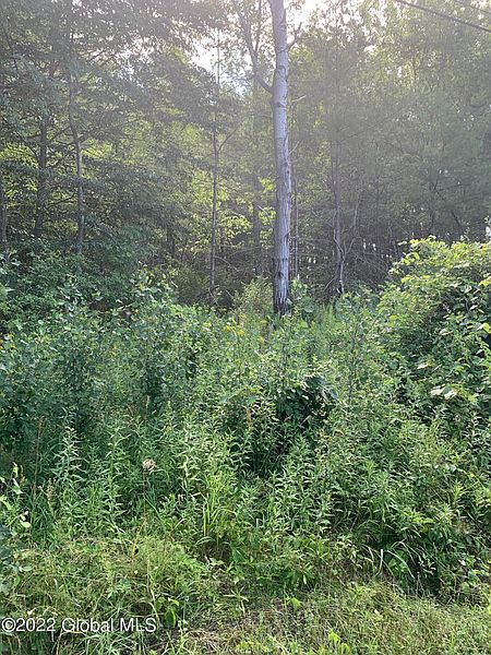 5th image of 0 McDougal Lake Road