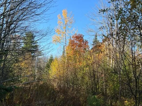 72 Alder Road, Orland, ME 04472