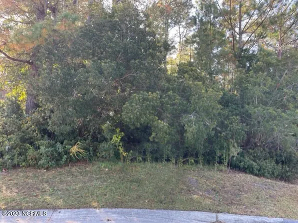 5117 Chalice Lane, Wilmington, NC 28409