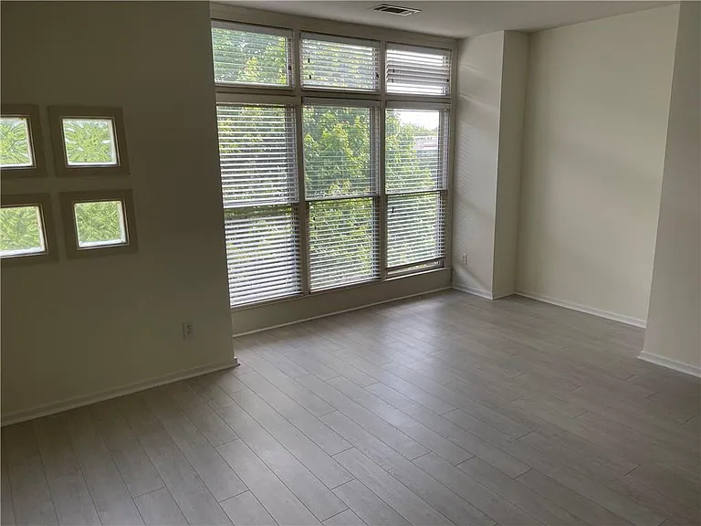1325 Peachtree Vw NE — Photo 12