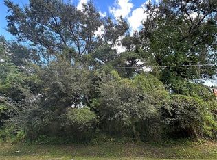 Mandrake St LOT 150, Orlando, FL 32811