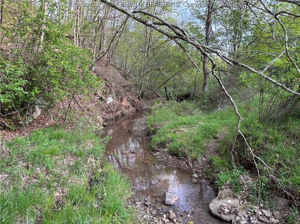 621 Three Mile Rd, Brohard, WV 26138