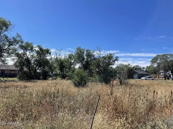 Tori Cir, Springerville, AZ 85938