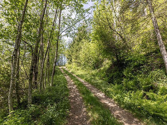3rd image of Snag Mountain Rd