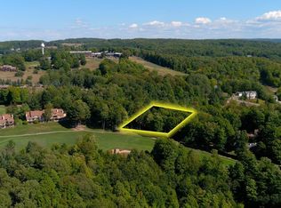 1 Palmer Dr, Bellaire, MI 49615