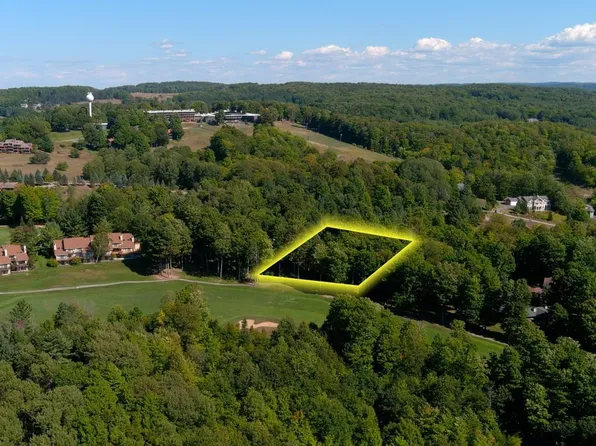 1 Palmer Dr, Bellaire, MI 49615