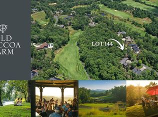 144 Hickory Way, Mineral Bluff, GA 30559