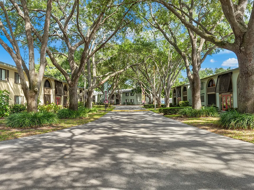 Banyan Trail