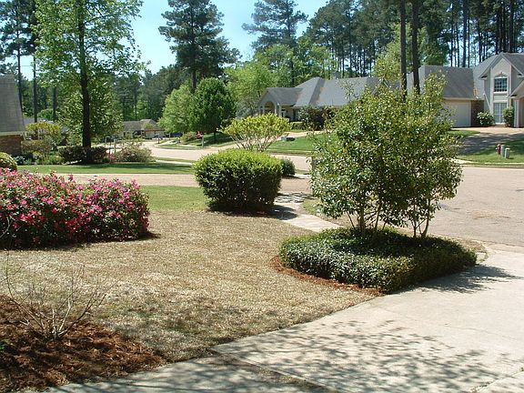 Maplewood Place from the driveway