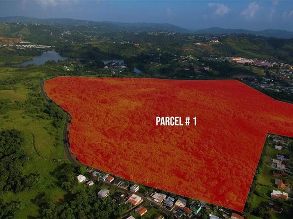 State Highway 172 16.2 #KM, Cidra, PR 00739