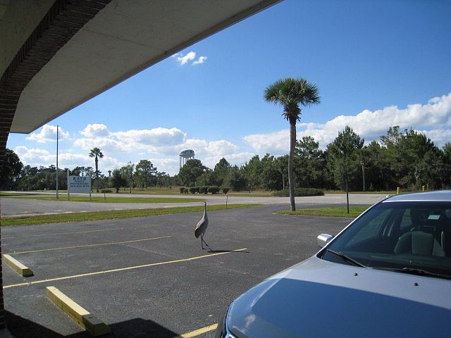 2nd image of 224 Poinciana Cir