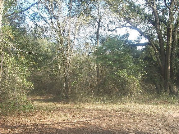 Open Pasture