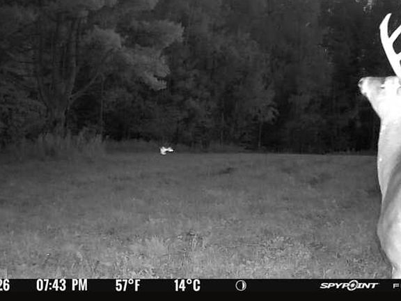 3rd image of 80 Acres Hwy #64