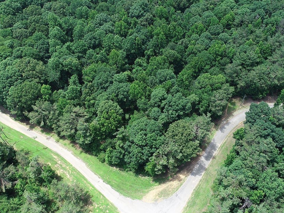 Drone1