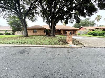 305 Redbud Ave, McAllen, TX, 78504