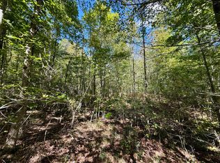 0 Owl Hollow Rd Lot 1, Palmer, TN 37365
