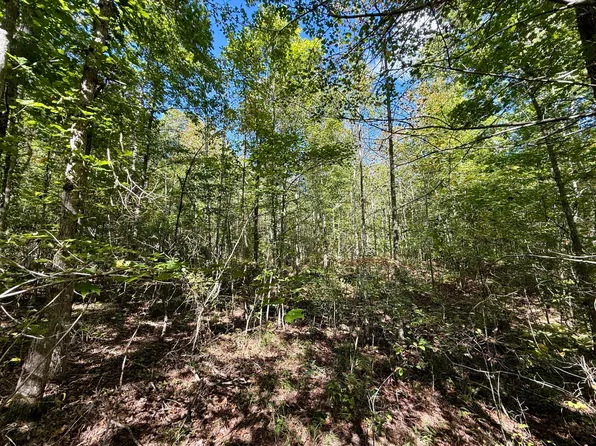 0 Owl Hollow Rd Lot 1, Palmer, TN 37365