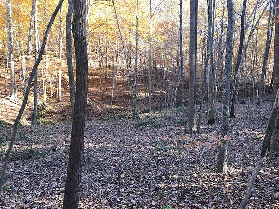 4th image of 17350 Old State Road 37