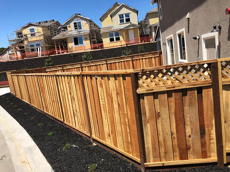 Fenced back yard