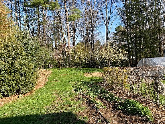 Strawberries and hoop house