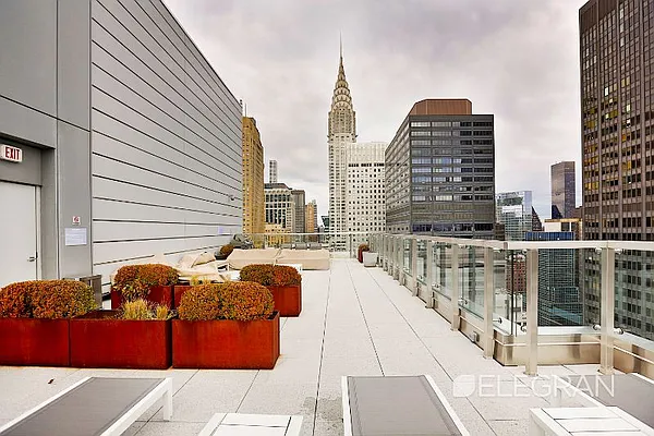 Sold by (Legacy) Elegran | media 36