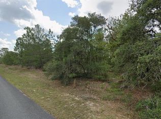 3600 W PARKVIEW DRIVE LOT 3, CITRUS SPRINGS, FL 34433