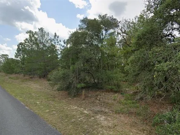 3600 W PARKVIEW DRIVE LOT 3, CITRUS SPRINGS, FL 34433