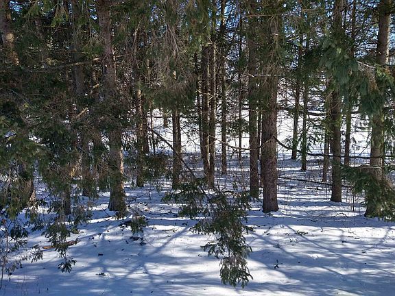 3rd image of LOT 8 Klondike St