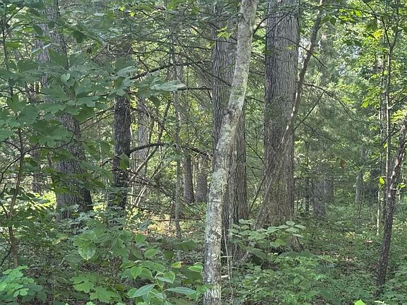 2nd image of Mine Mountain Ln Lot 241