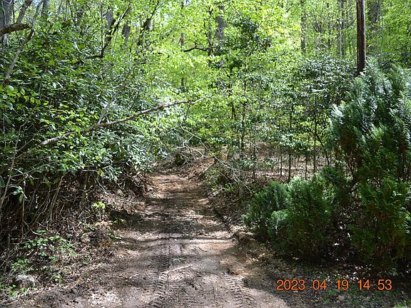 4th image of 165 Holly Ln