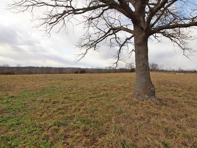 209230000000006 County Road 7830, Caulfield, MO, 65626