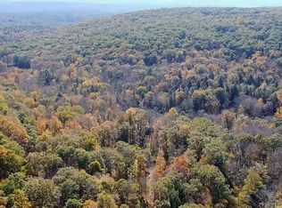 0 Minks Pond Rd LOT 215, Lehman, PA 18324