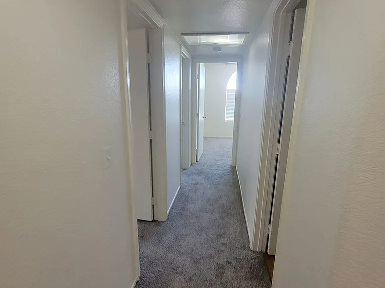 7321 Summer Sun Dr — Photo 10