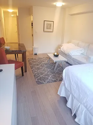 Rented by Manhattan Apartment Organization | media 22